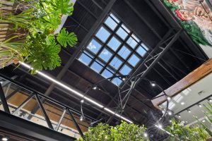 1-print-61-65-roberts-rd