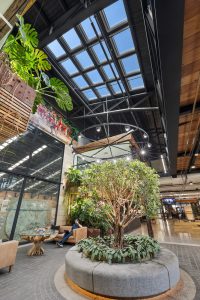 5-print-61-65-roberts-rd