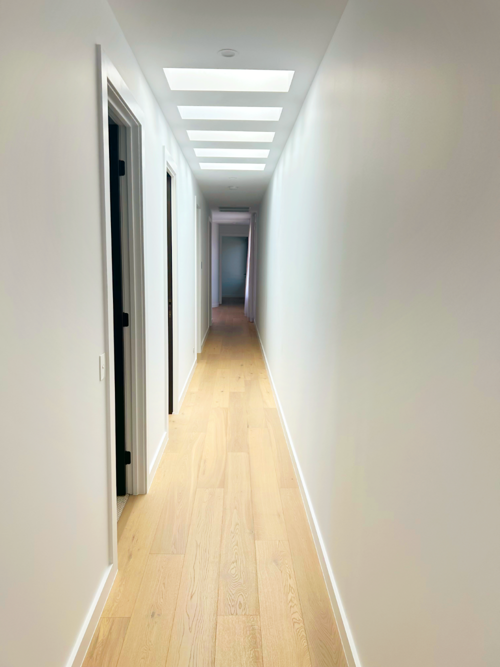 QLD_Sept_Interior1 Natural Lighting Skylights | Why Skylights Can Turn Dark Hallways Into Dream Spaces